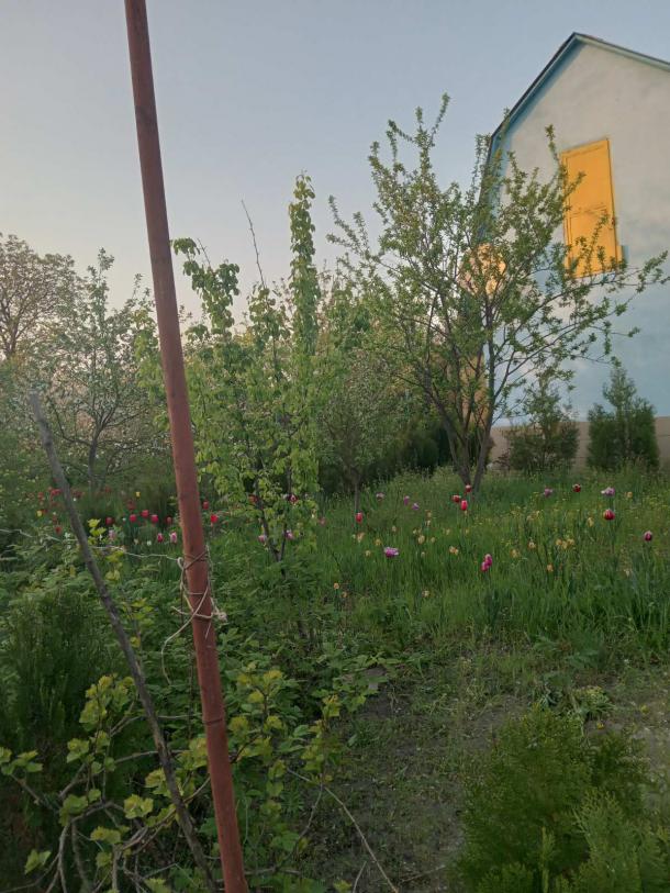 Дача, 3-кімн., Харьков, ХТЗ, Довженко